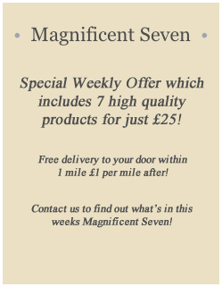  •  Magnificent Seven 